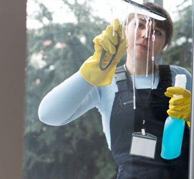 Apartment Cleaning